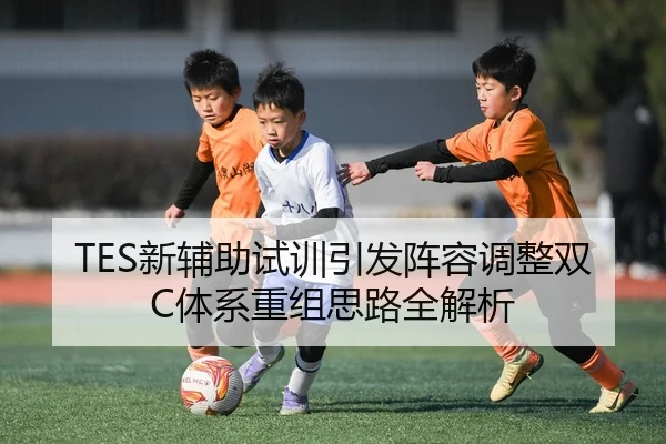TES新辅助试训引发阵容调整双C体系重组思路全解析