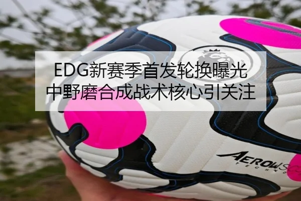 EDG新赛季首发轮换曝光 中野磨合成战术核心引关注